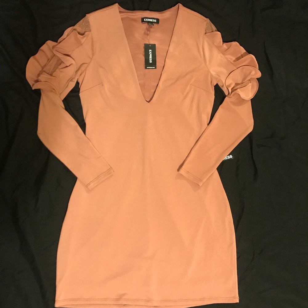 NWT Express Dress